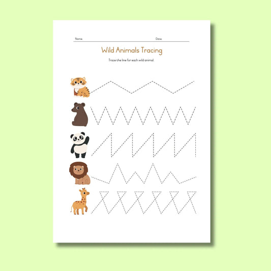 Wild animals tracing worksheet for kids with tiger, bear, panda, lion, giraffe and dotted lines.