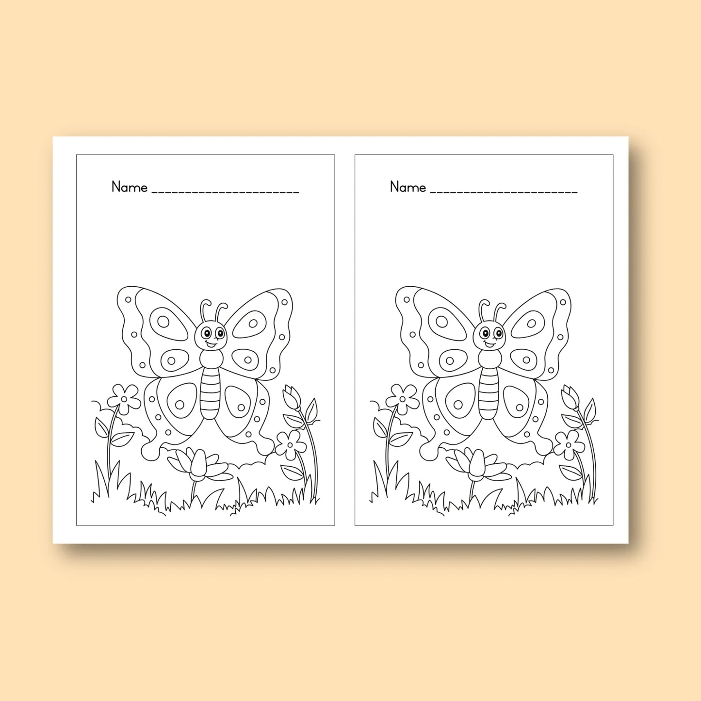 A5 Butterfly Report Cover