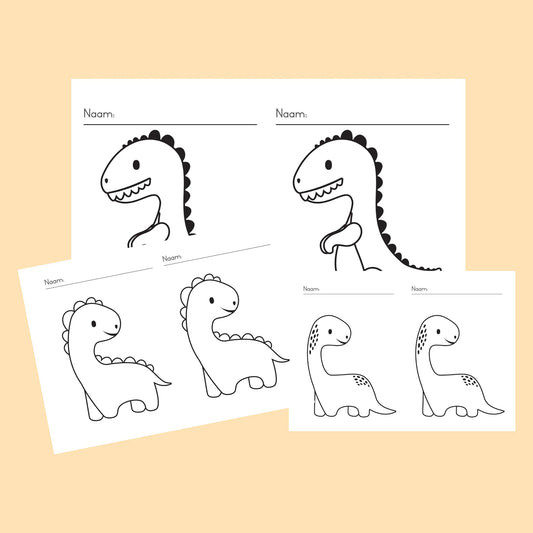 A5 Dinosourus Rapport Dekking