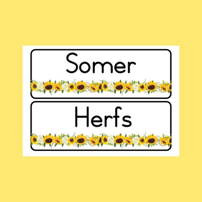 Sonneblom Klaskmer Tema