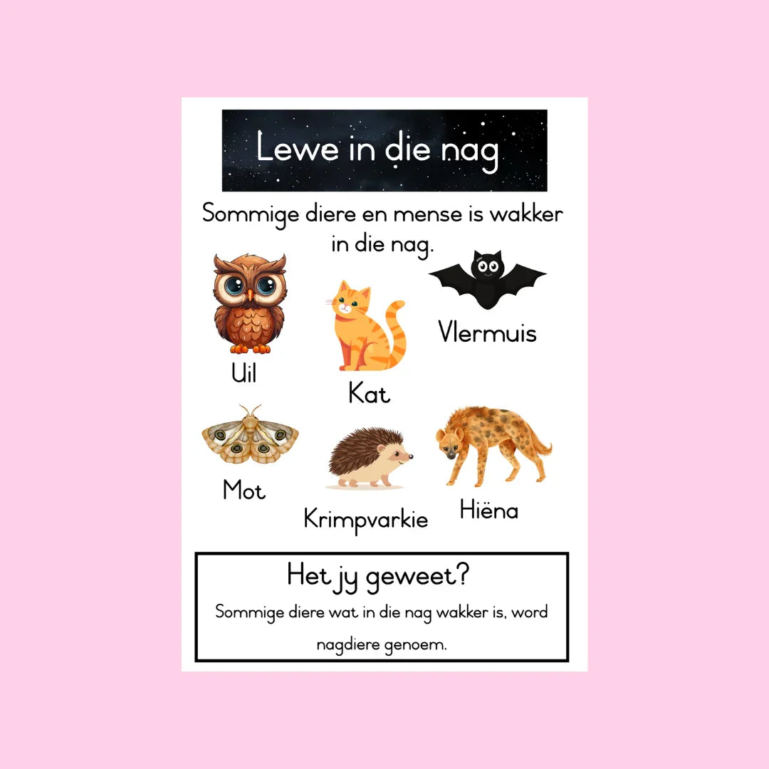 Lewe in die Nag Plakkaarte